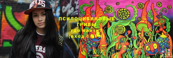 хмурый Алексеевка