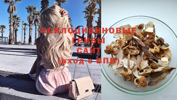 СК Алзамай