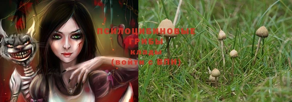хмурый Алексеевка