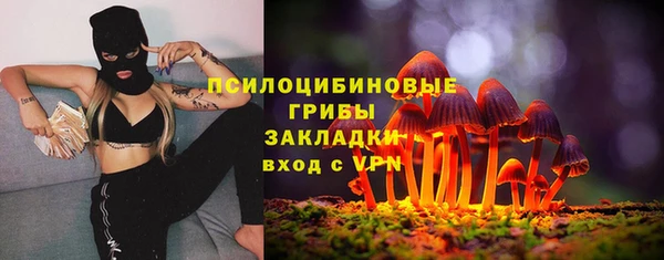 хмурый Алексеевка