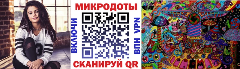 Псилоцибиновые грибы Psilocybine cubensis  где найти   Макушино 