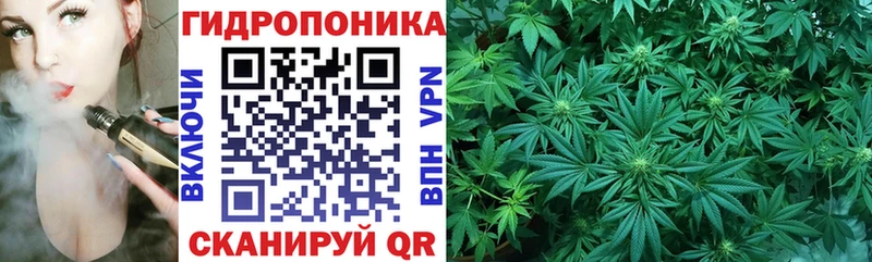 Бошки марихуана Bruce Banner  где продают   Макушино 